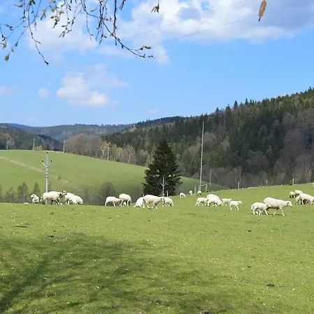Penzion Nová Seninka 3*